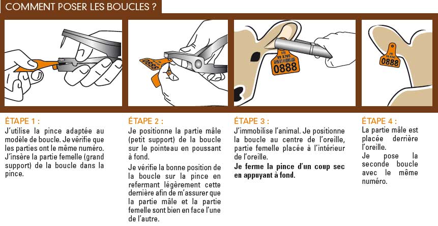 tracabilite boucles2