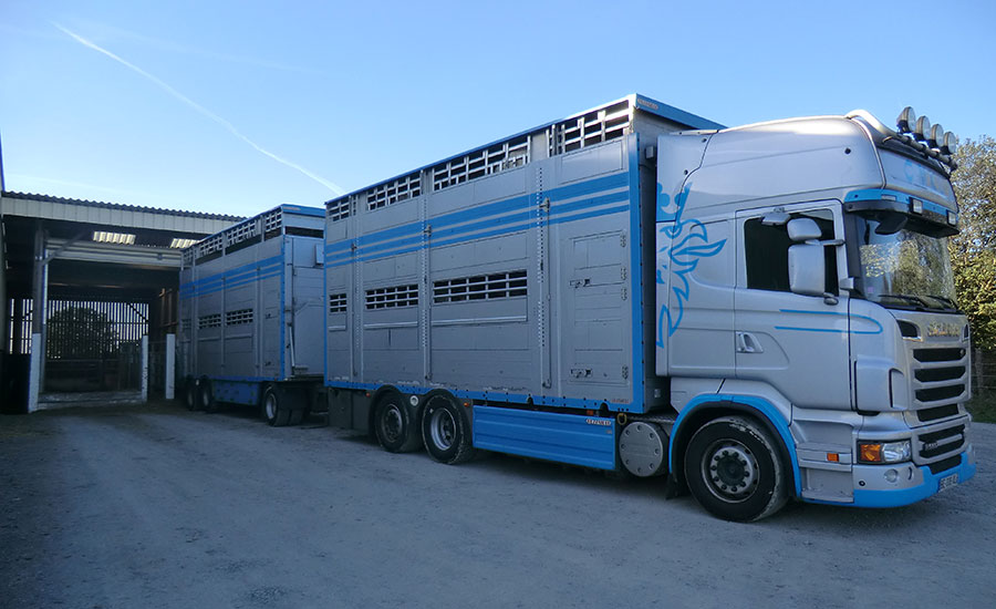 transport big1