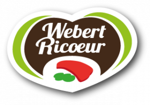 weber ricoeur